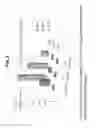Fig. 04 - Decreasing bacterial responses on nano-modified titanium
