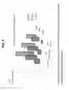 Fig. 07 - Decreasing bacterial responses on nano-modified titanium