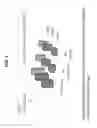 Fig. 08 - Decreasing bacterial responses on nano-modified titanium