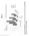 Fig. 10 - Decreasing bacterial responses on nano-modified titanium