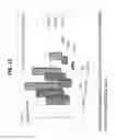 Fig. 12 - Decreasing bacterial responses on nano-modified titanium