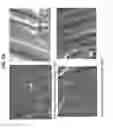 Fig. 20 - Decreasing bacterial responses on nano-modified titanium