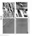 Fig. 22 - Decreasing bacterial responses on nano-modified titanium