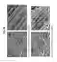 Fig. 24 - Decreasing bacterial responses on nano-modified titanium