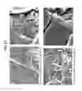 Fig. 28 - Decreasing bacterial responses on nano-modified titanium