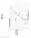 Fig. 52 - Decreasing bacterial responses on nano-modified titanium