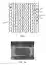 Fig. 02 - Biodegradable endoprostheses and methods of their fabrication