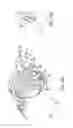 Fig. 31 - Gastric restriction devices for treating obesity