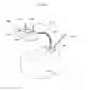 Fig. 25 - Device for treating obesity