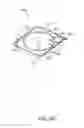 Fig. 09 - Gas filter and release for ostomy appliance
