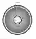 Fig. 05 - Devices and methods for creating a predictable capsulorhexis of specific diameter