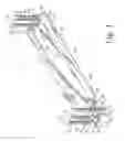 Fig. 02 - Synchronized patient elevation and positioning apparatus for use with patient positioning support systems