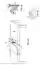 Fig. 05 - TORSO LIFT DEVICE