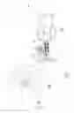 Fig. 06 - Physiotherapeutic device