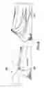 Fig. 09 - Responsive whole patient care compression therapy and treatment system
