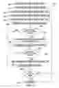Fig. 13 - Responsive whole patient care compression therapy and treatment system