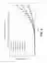 Fig. 09 - TOPICAL COMPOSITIONS FOR TREATMENT OF EXCESSIVE SWEATING AND METHODS OF USE THEREOF