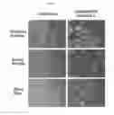 Fig. 02 - Personal care compositions containing crosslinked silicone polymer networks and their method of preparation