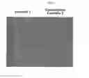 Fig. 04 - Personal care compositions containing crosslinked silicone polymer networks and their method of preparation