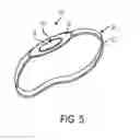 Fig. 06 - Apparatus and method of stimulating elevation of glutathione levels in a subject