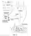 Fig. 02 - HYDROGEL DRUG DELIVERY IMPLANTS