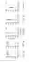 Fig. 04 - SiRNA phospholipid conjugate