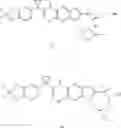 Fig. 34 - MODULATORS FOR ATP-BINDING CASSETTE TRANSPORTERS