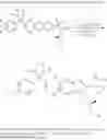 Fig. 45 - MODULATORS FOR ATP-BINDING CASSETTE TRANSPORTERS