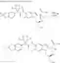 Fig. 51 - MODULATORS FOR ATP-BINDING CASSETTE TRANSPORTERS