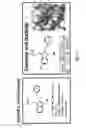 Fig. 15 - BCL6 inhibitors as anticancer agents