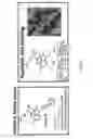 Fig. 19 - BCL6 inhibitors as anticancer agents