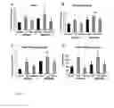 Fig. 08 - COMPOSITIONS AND METHODS FOR TREATMENT AND PREVENTION OF HYPERURICEMIA RELATED HEALTH CONSEQUENCES