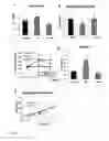 Fig. 09 - COMPOSITIONS AND METHODS FOR TREATMENT AND PREVENTION OF HYPERURICEMIA RELATED HEALTH CONSEQUENCES