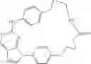 Fig. 166 - Macrocycles as kinase inhibitors
