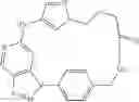 Fig. 170 - Macrocycles as kinase inhibitors