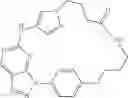 Fig. 172 - Macrocycles as kinase inhibitors