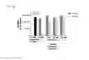 Fig. 05 - Combination methods for treating cancers