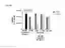 Fig. 06 - Combination methods for treating cancers