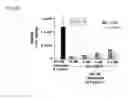 Fig. 09 - Combination methods for treating cancers