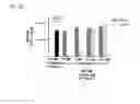 Fig. 19 - Combination methods for treating cancers