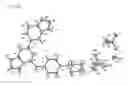 Fig. 19 - Formulation of Syk inhibitors