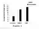 Fig. 05 - Method for treating a degenerative disease of the nervous system using 3-methoxy-pregnenolone or derivatives thereof