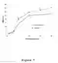 Fig. 07 - Method for treating a degenerative disease of the nervous system using 3-methoxy-pregnenolone or derivatives thereof