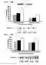 Fig. 19 - Method for treating a degenerative disease of the nervous system using 3-methoxy-pregnenolone or derivatives thereof