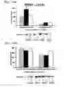 Fig. 20 - Method for treating a degenerative disease of the nervous system using 3-methoxy-pregnenolone or derivatives thereof