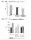 Fig. 24 - Method for treating a degenerative disease of the nervous system using 3-methoxy-pregnenolone or derivatives thereof