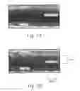 Fig. 04 - Compositions and methods to treat cardiac diseases