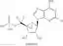 Fig. 33 - Compositions and methods to treat cardiac diseases