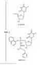 Fig. 02 - Phosphoramidate derivatives of 5-fluoro-2′-deoxyuridine for use in the treatment of cancer