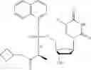 Fig. 27 - Phosphoramidate derivatives of 5-fluoro-2′-deoxyuridine for use in the treatment of cancer
